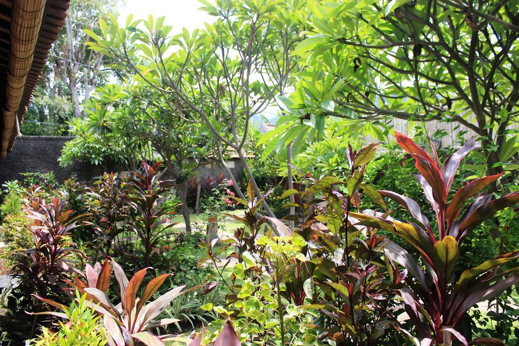 Pondok Shindu Guest House เปมูเตรัน ภายนอก รูปภาพ